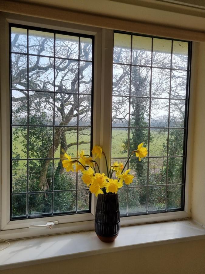 Lovely 2-Bedroom New Forest Apartment On A Farm 뉴밀튼 외부 사진